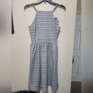 Banana Republic Navy and White Striped Dress